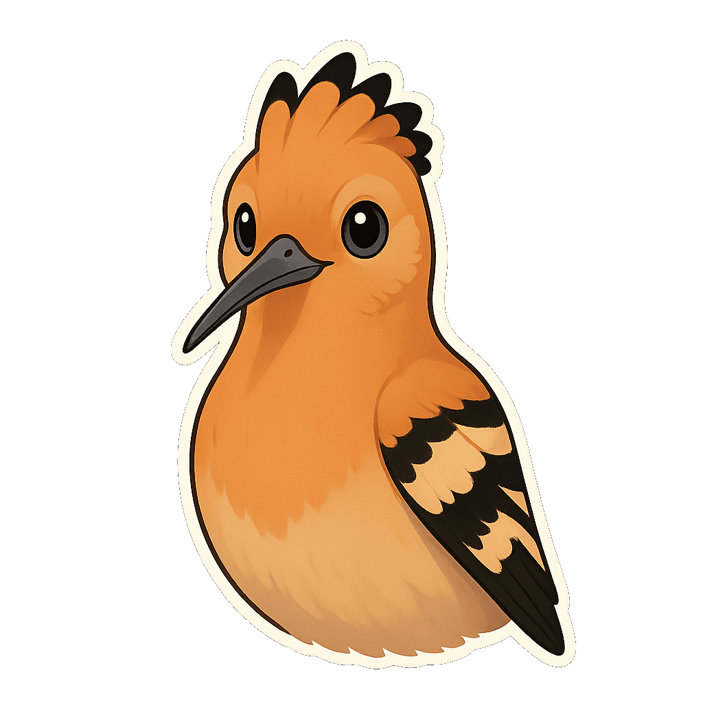 hoopoe